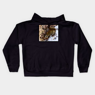 Searching for seeds. Kids Hoodie